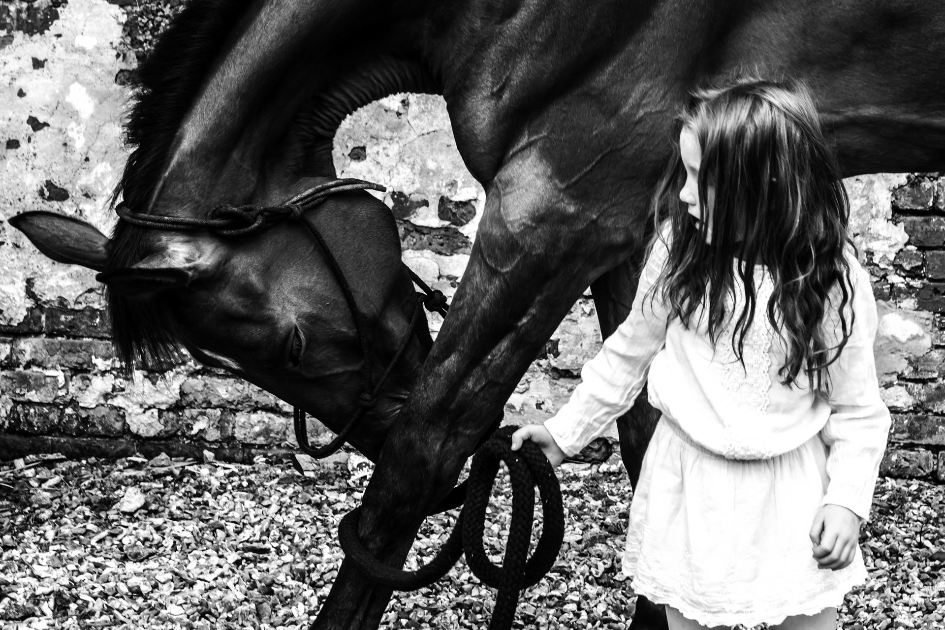 Horses & Humans by Lucy Sewill - Book Extract, Review & Images 2016