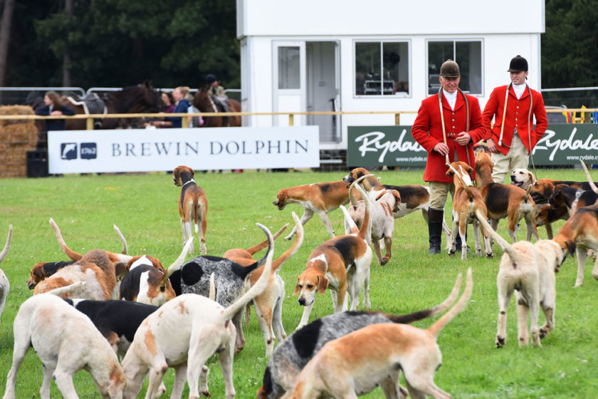 An Insider's Guide to The Game Fair at Ragley Hall, Warwickshire Sporting