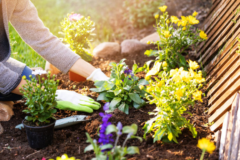 
Sustainable gardening