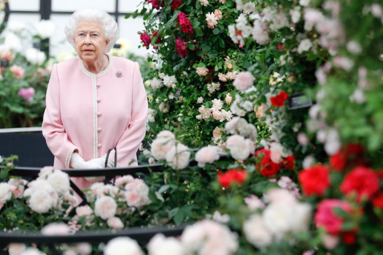 Flower Shows To Visit in 2023 - Floristry and Gardening Events