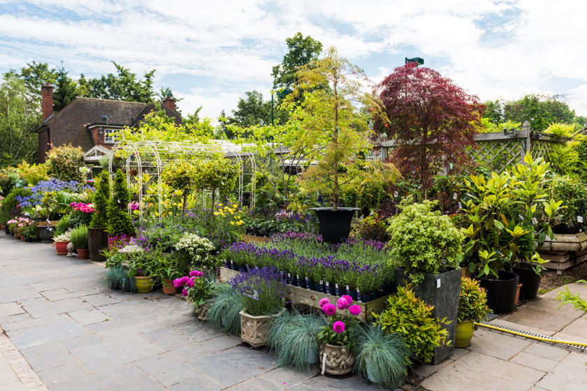 The Best Garden Centres in London Culture Country & Town House