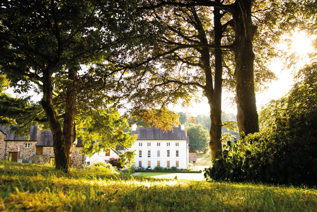 The Grove of Narberth - Narberth, Pembrokeshire | Hotels