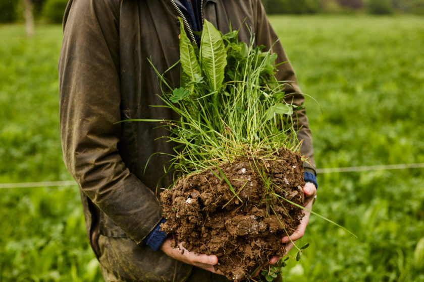 Honest Burgers Launches Regenerative Farming Initiative - Culture