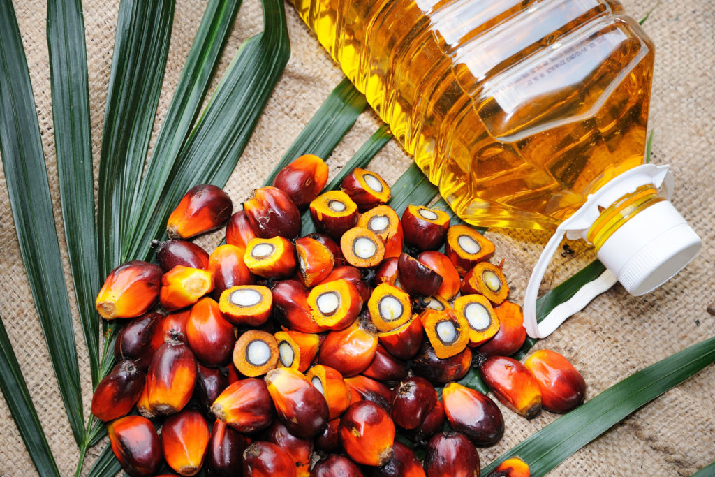 palm-oil-what-s-the-problem-with-it-is-an-alternative-coming