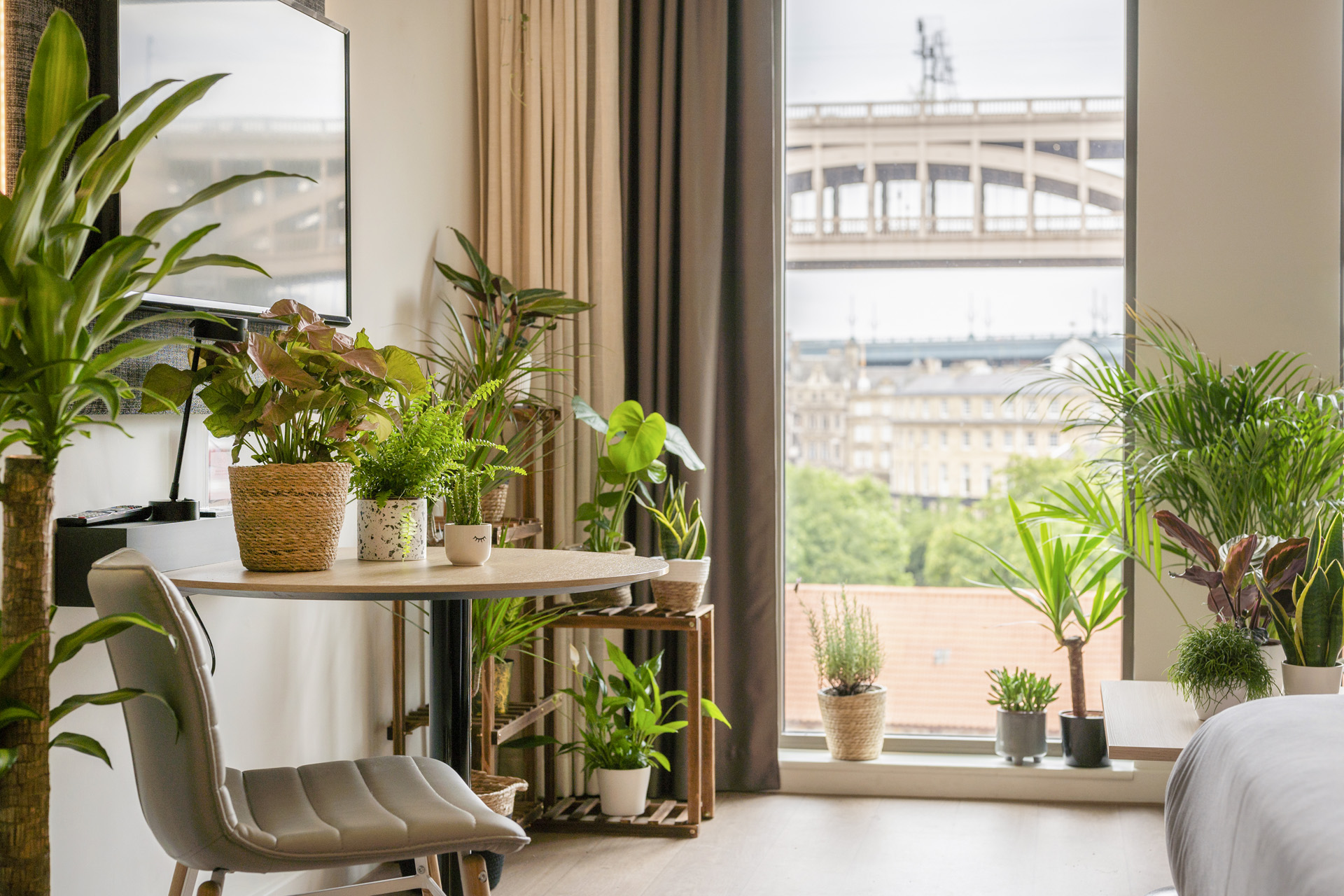 Botanical Bedrooms: Staycation Hotels for Plant Lovers - Travel