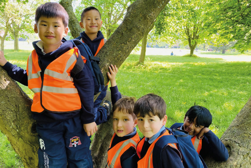 kids from christ church cathedral school in tree