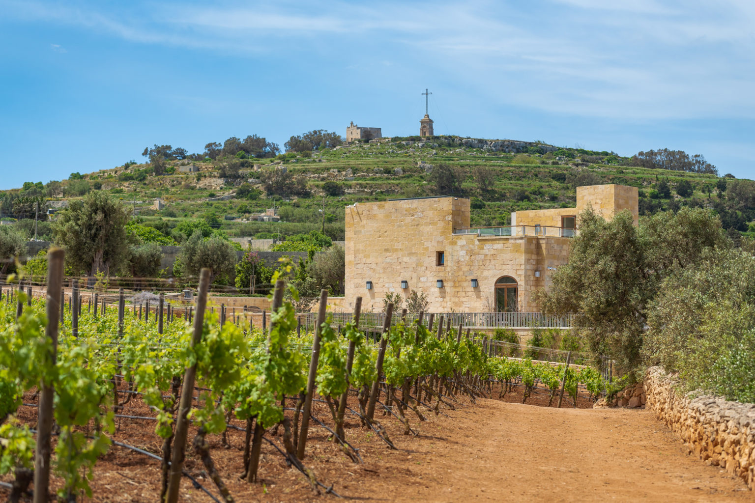 Ta Betta Wine Estates The Maltese Wine Brand To Know