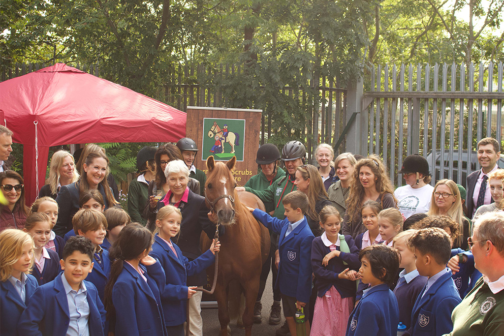 Bassett House X Wormwood Scrubs Pony Centre School House   BH3 