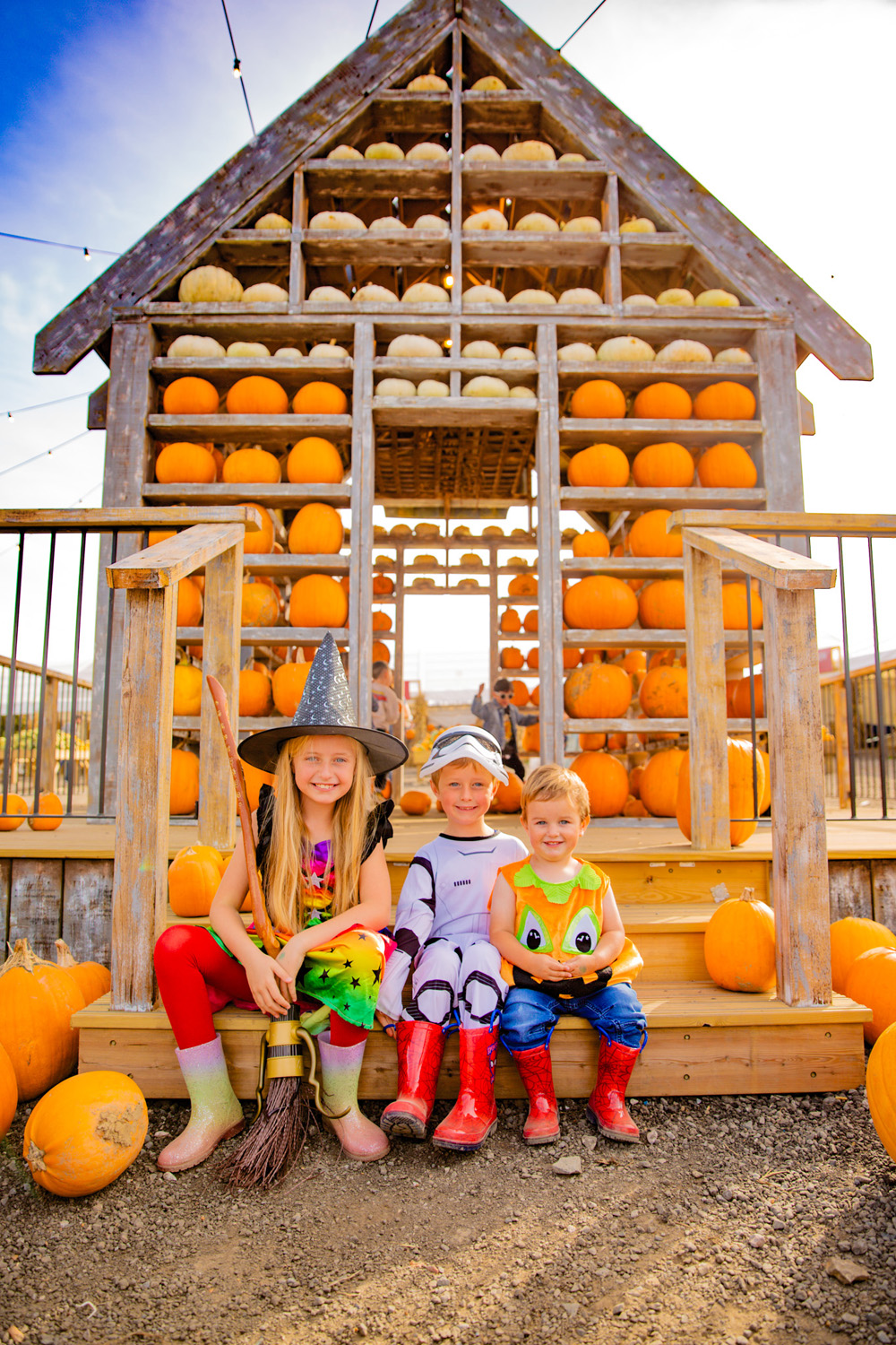 10 Perfect Pumpkin Patches Near London To Pick-Your-Own