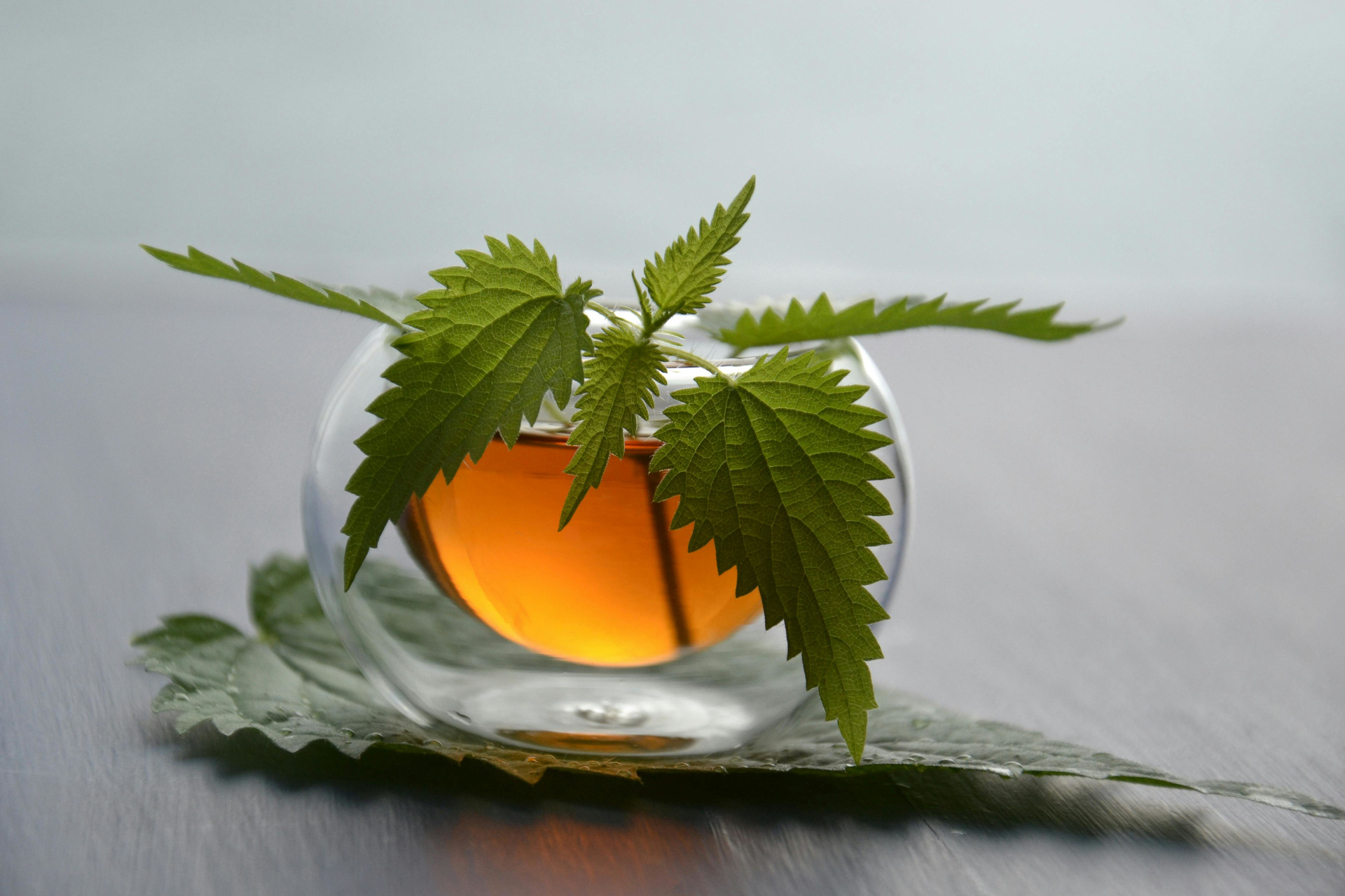 Need To Improve Your Blood Sugar? Nettle Tea Could Help