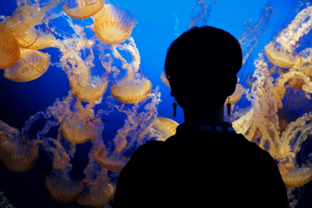 Woman with bob looking at jellyfish in aquarium