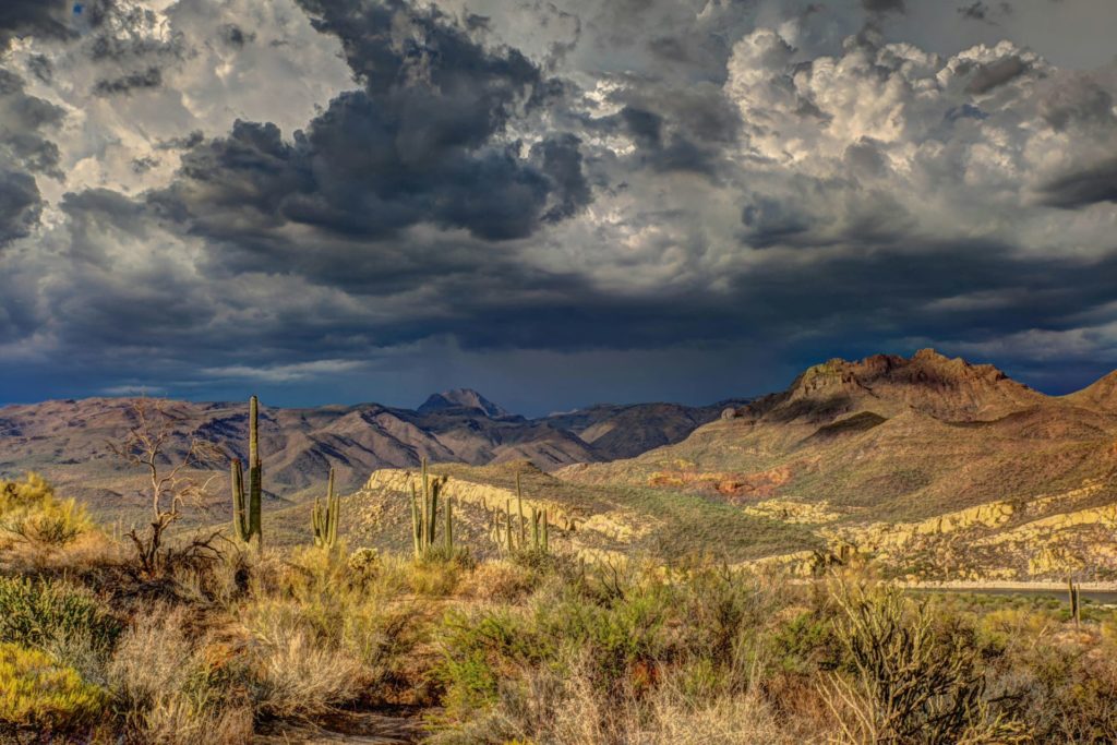 Desert with grey sky above