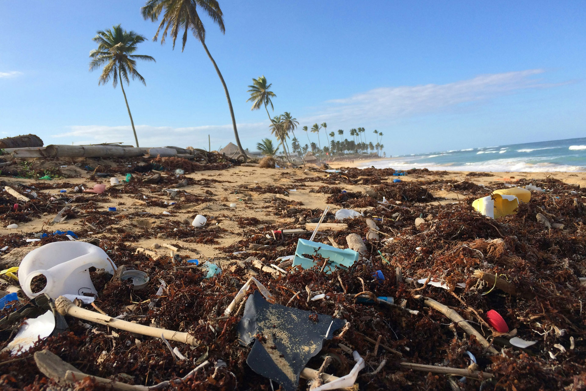 Why Is Plastic Free July Important?