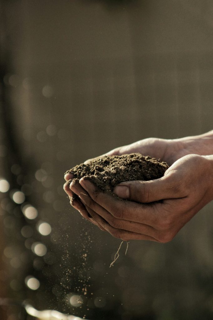 Hands holding soil