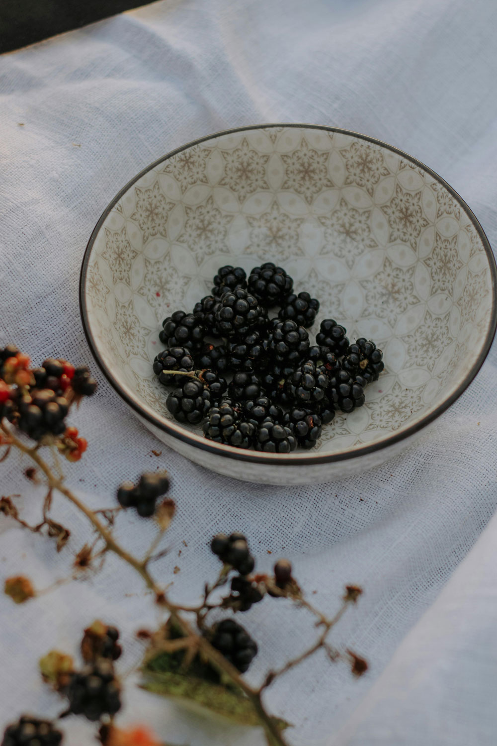 How To Pick Wild Blackberries