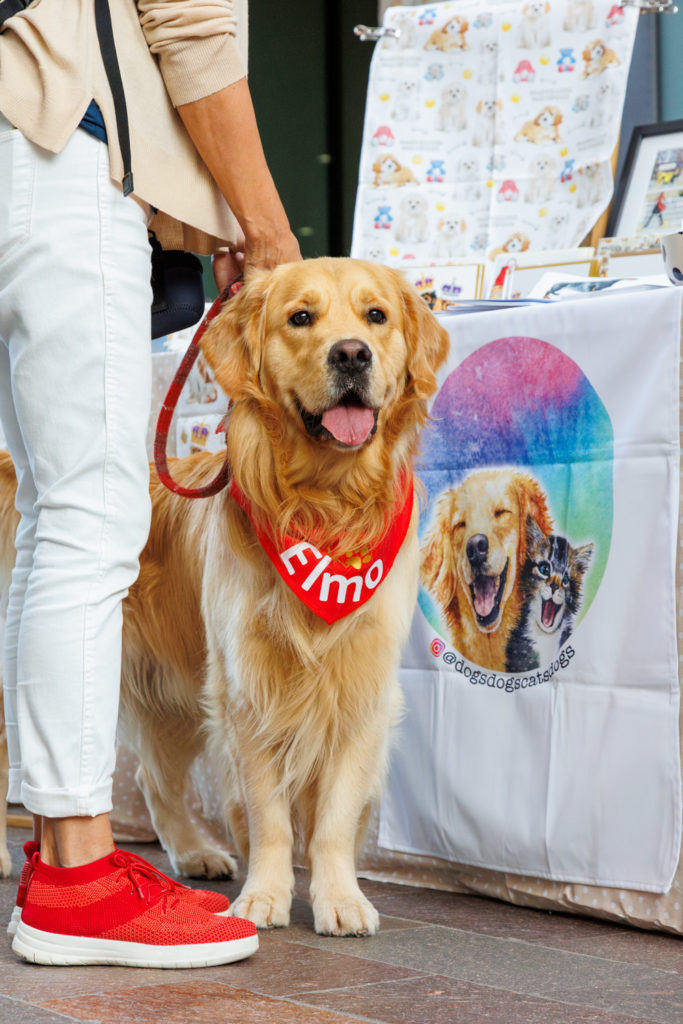 A golden retriever in London