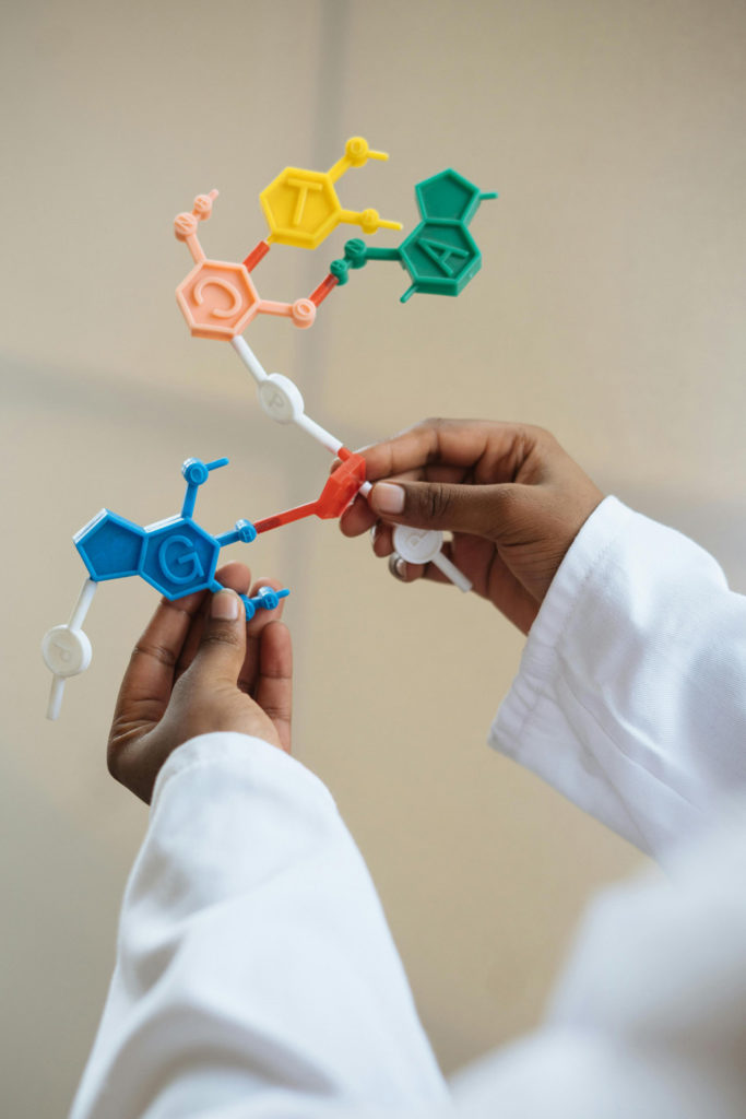 Hands holding a scientific object