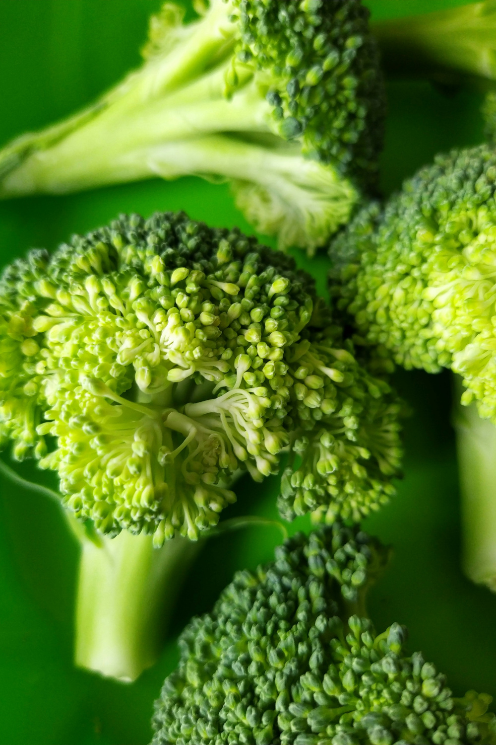 Is The Broccoli Cut The Most Divisive Men's Hair Trend Of 2024?