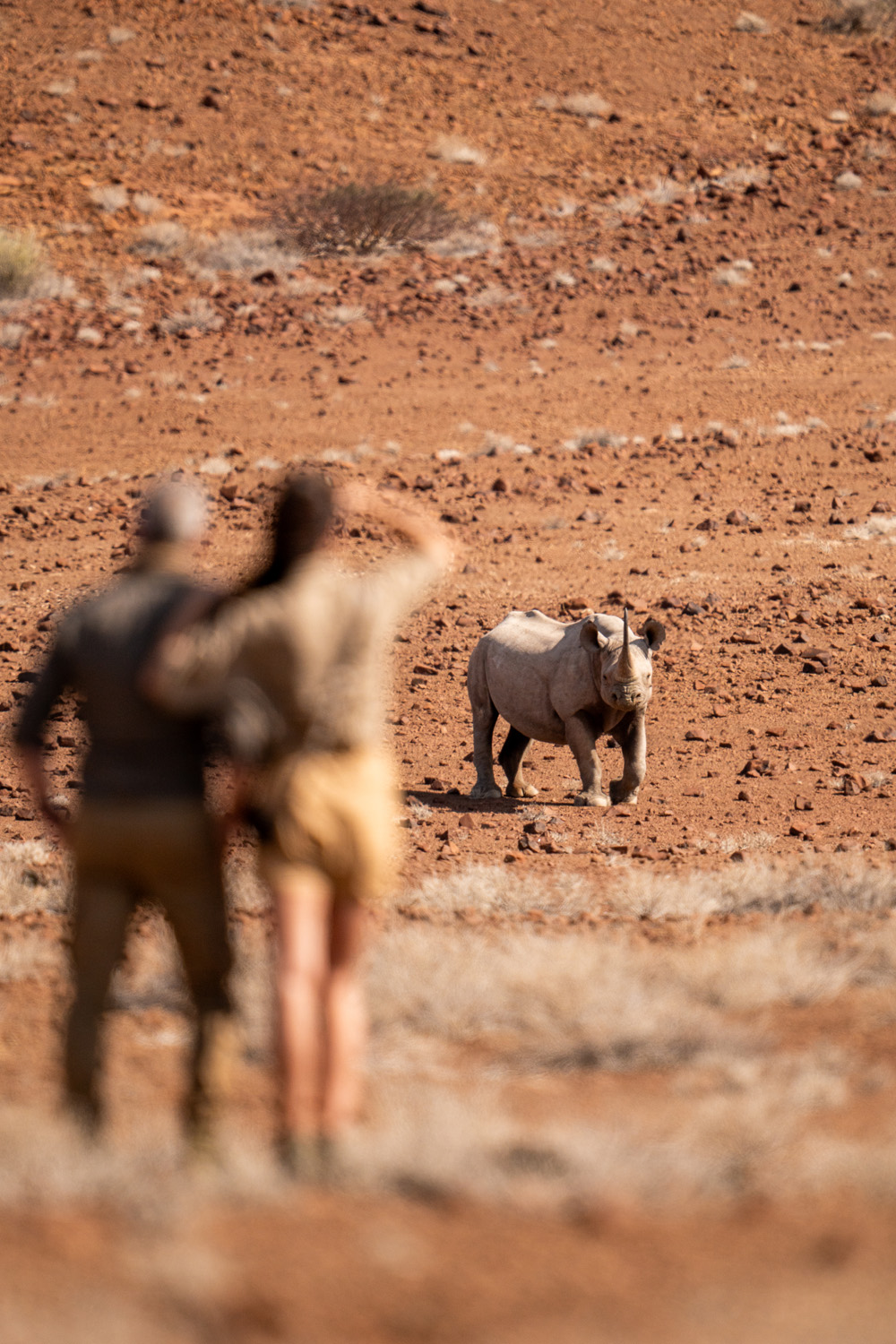 Visiting The World's Oldest Desert In Namibia