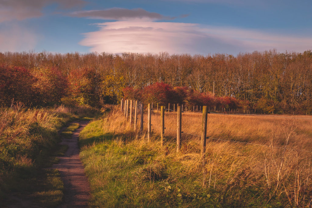 Autumn on a farm