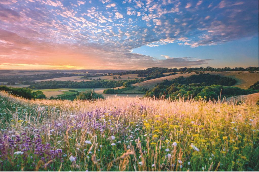 Rolling hills at sunset