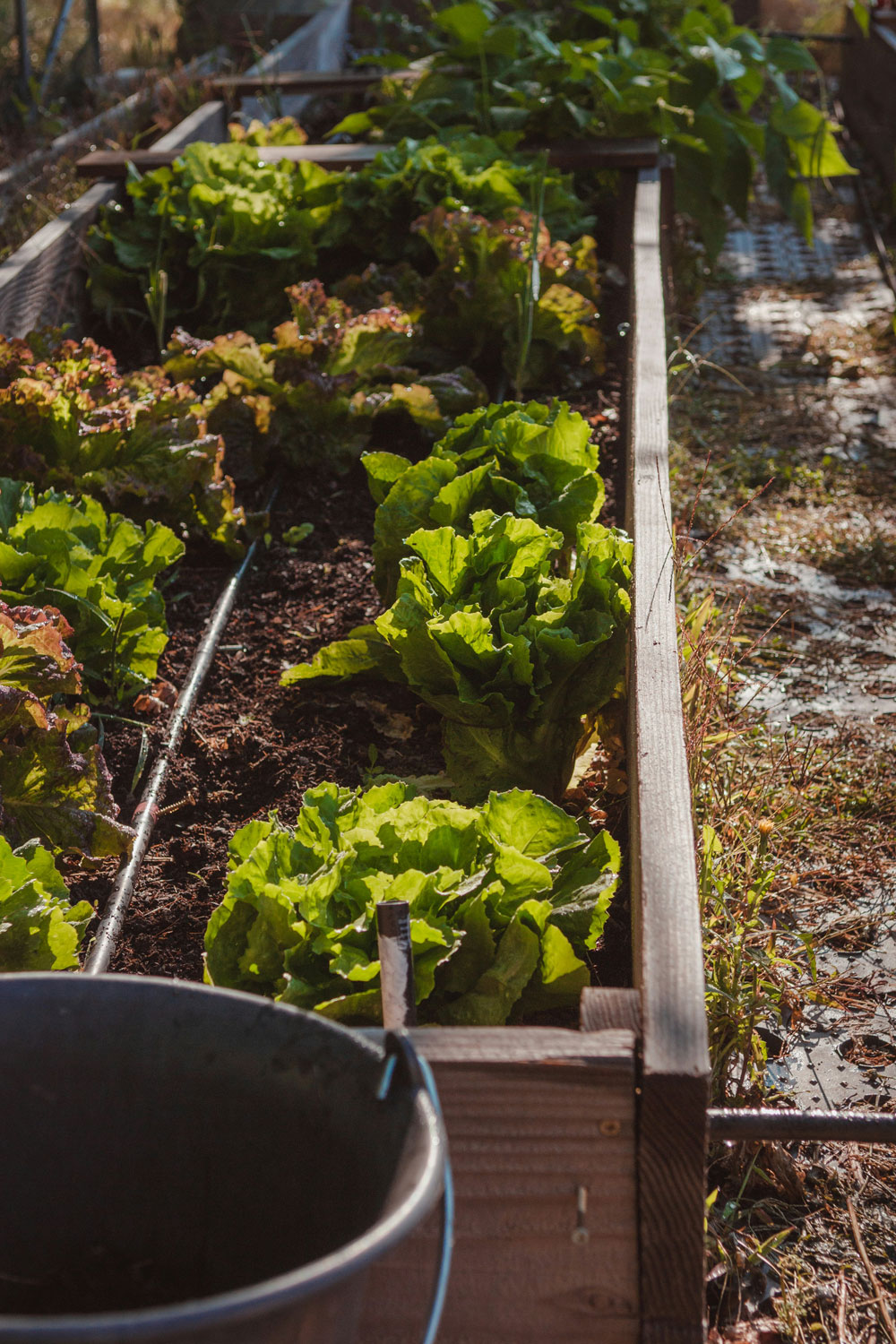 Inspired By David Beckham? Here’s How To Get Into Your Farming Era