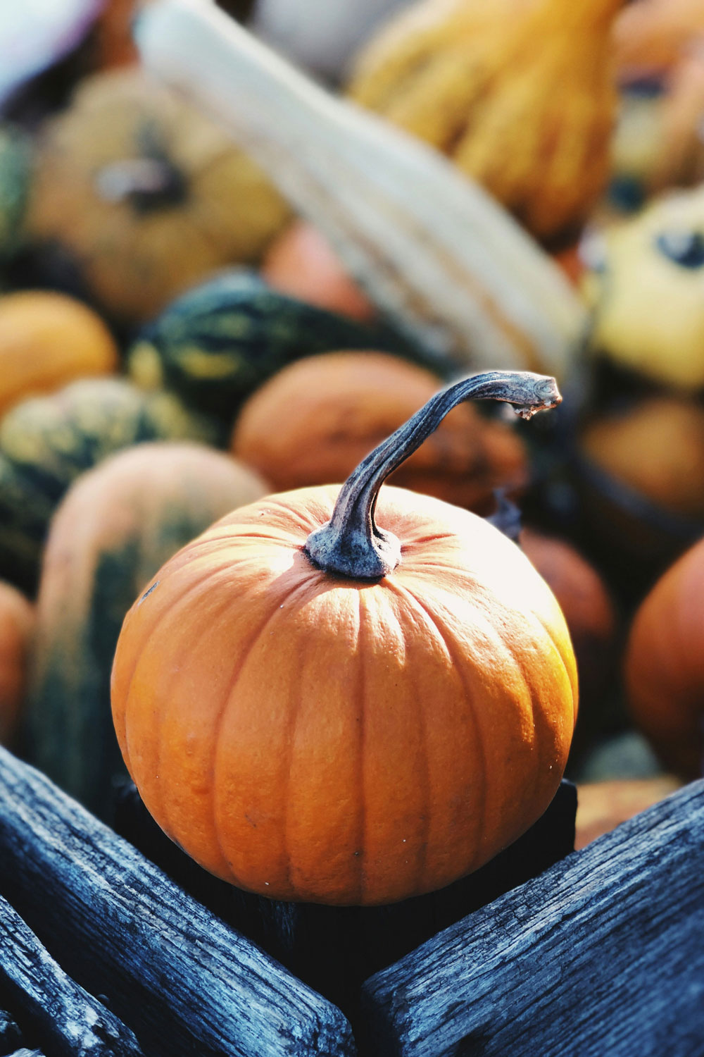 This Is The Exact Date You Should Carve Your Halloween Pumpkin