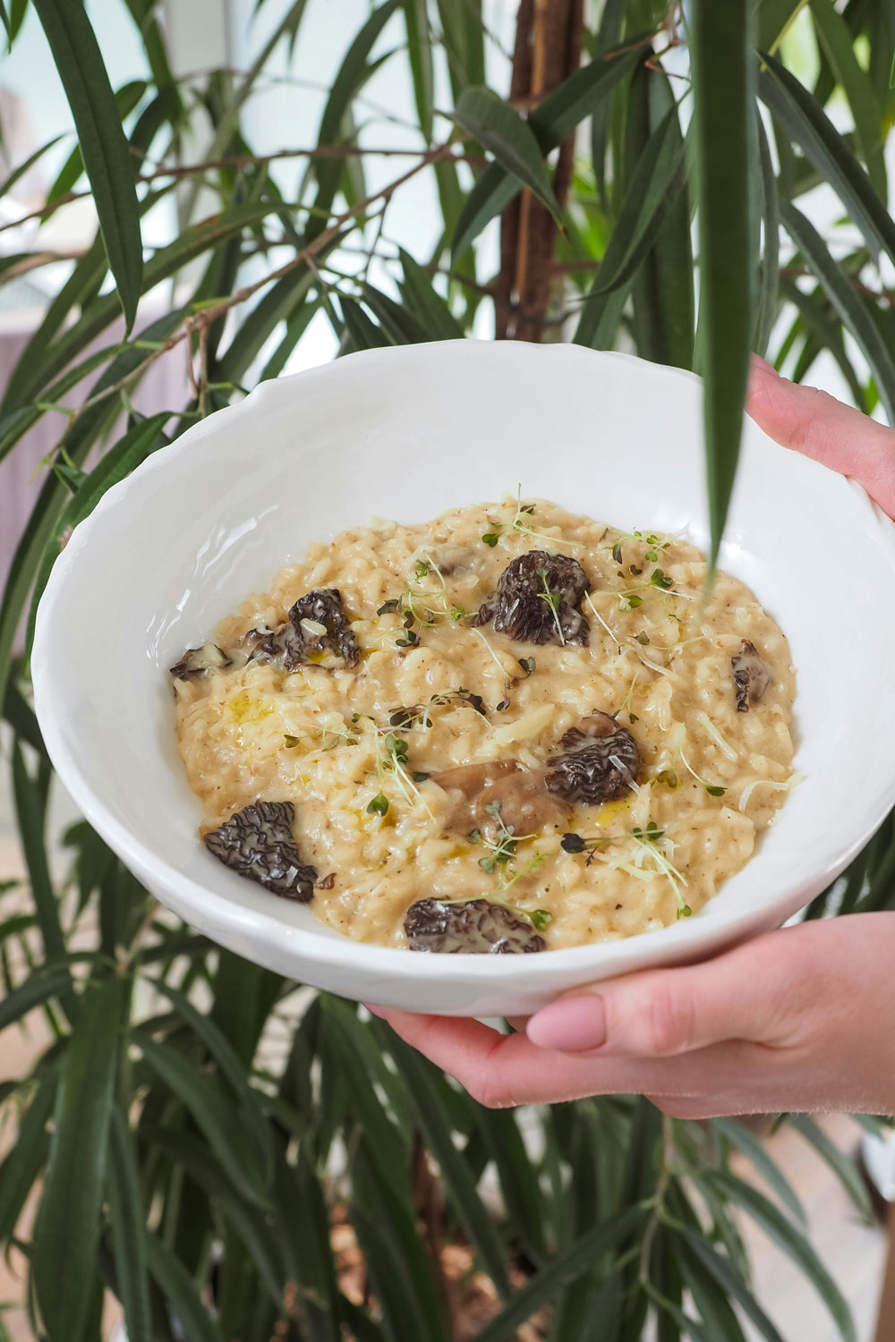 Sale e Pepe’s Mushroom & Truffle Risotto