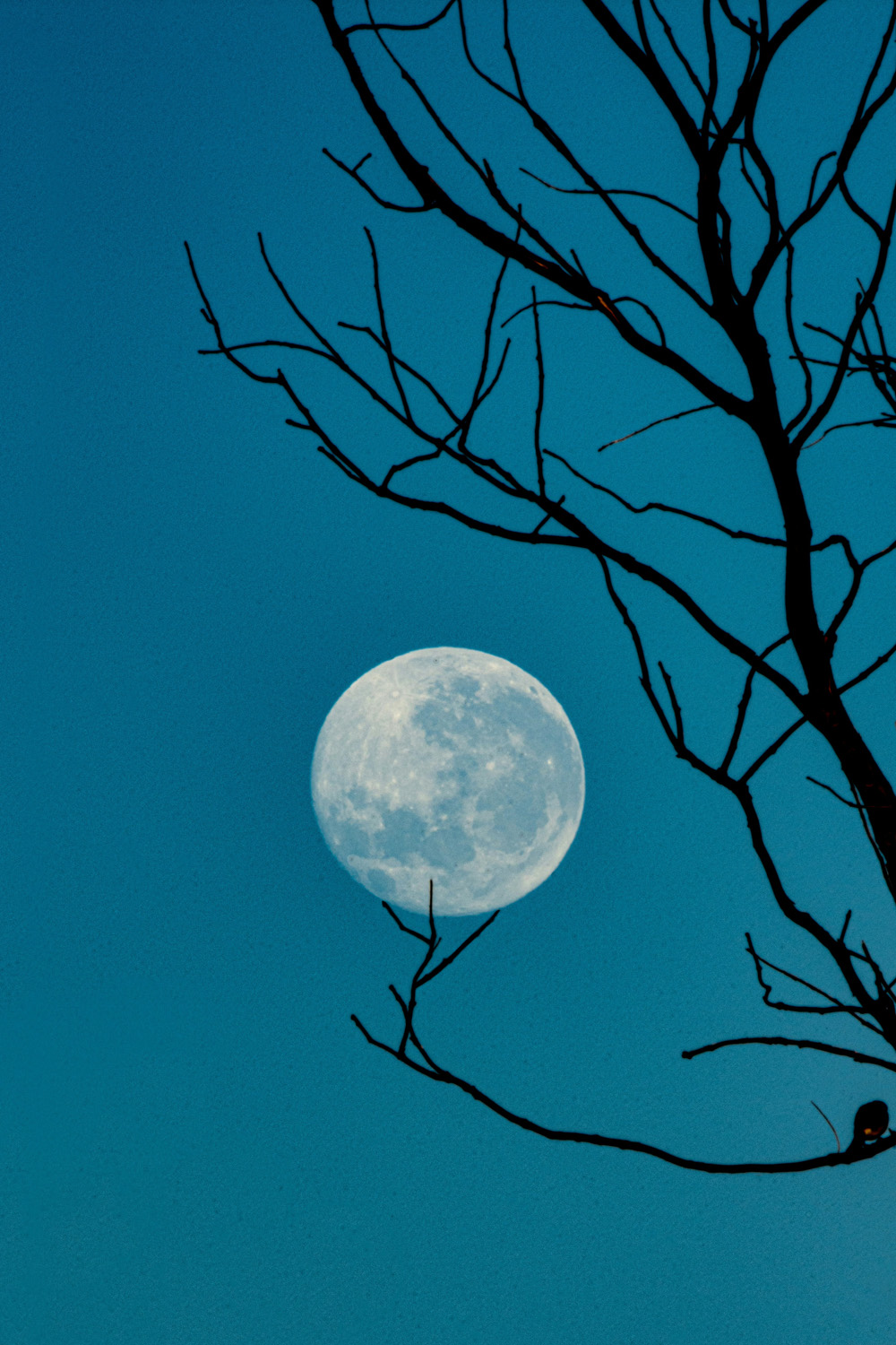 The Hunter's Moon Will Shine Over The UK Later This Month