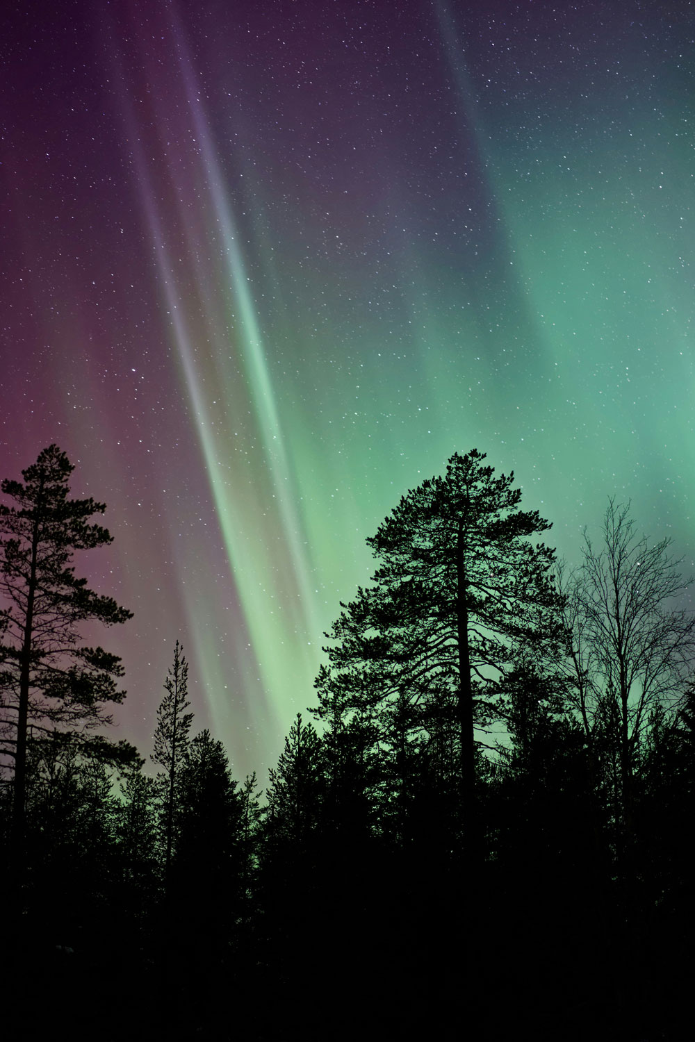 A Guide To The Northern Lights