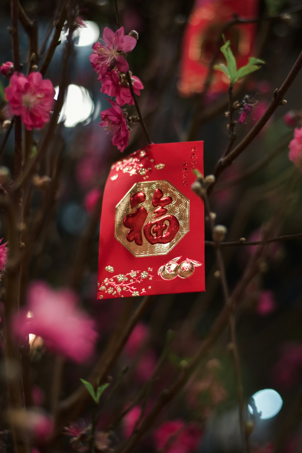 What Gifts Are Traditionally Given During Lunar New Year?