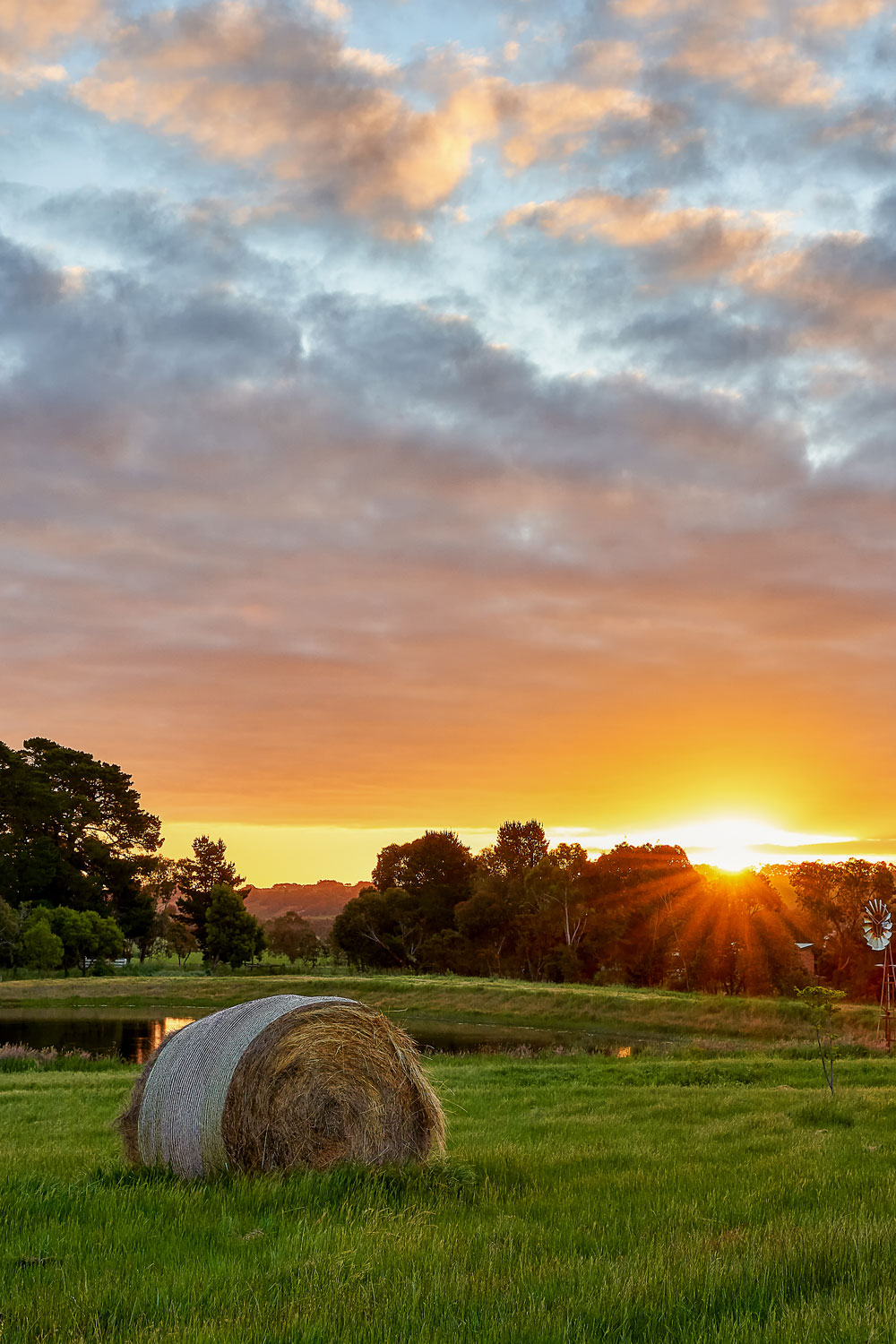 Autumn On The Farm With The Jefferies