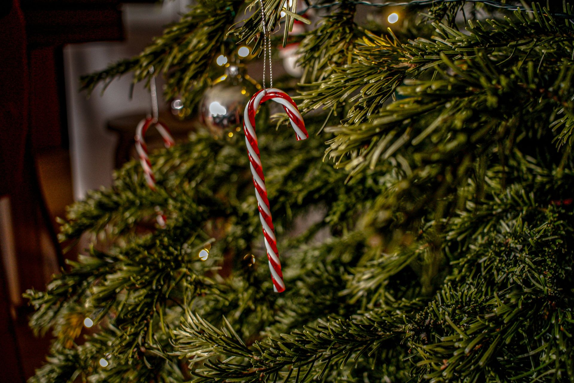 Feeling Festive? Candy Cane Decor Is Trending This Christmas