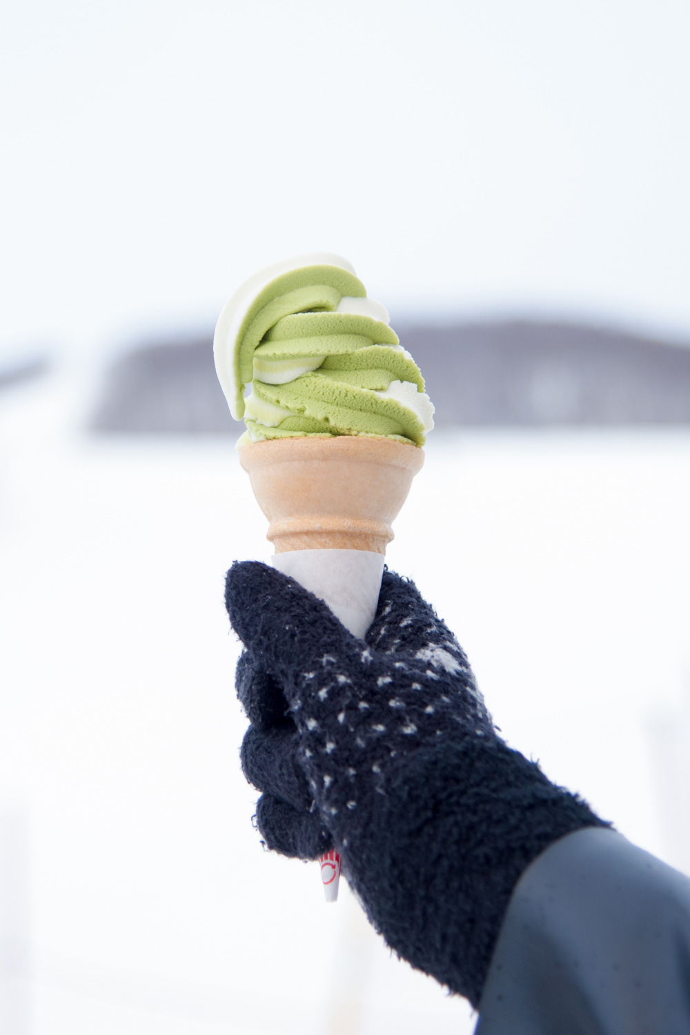 Can You Make Ice Cream From Snow?