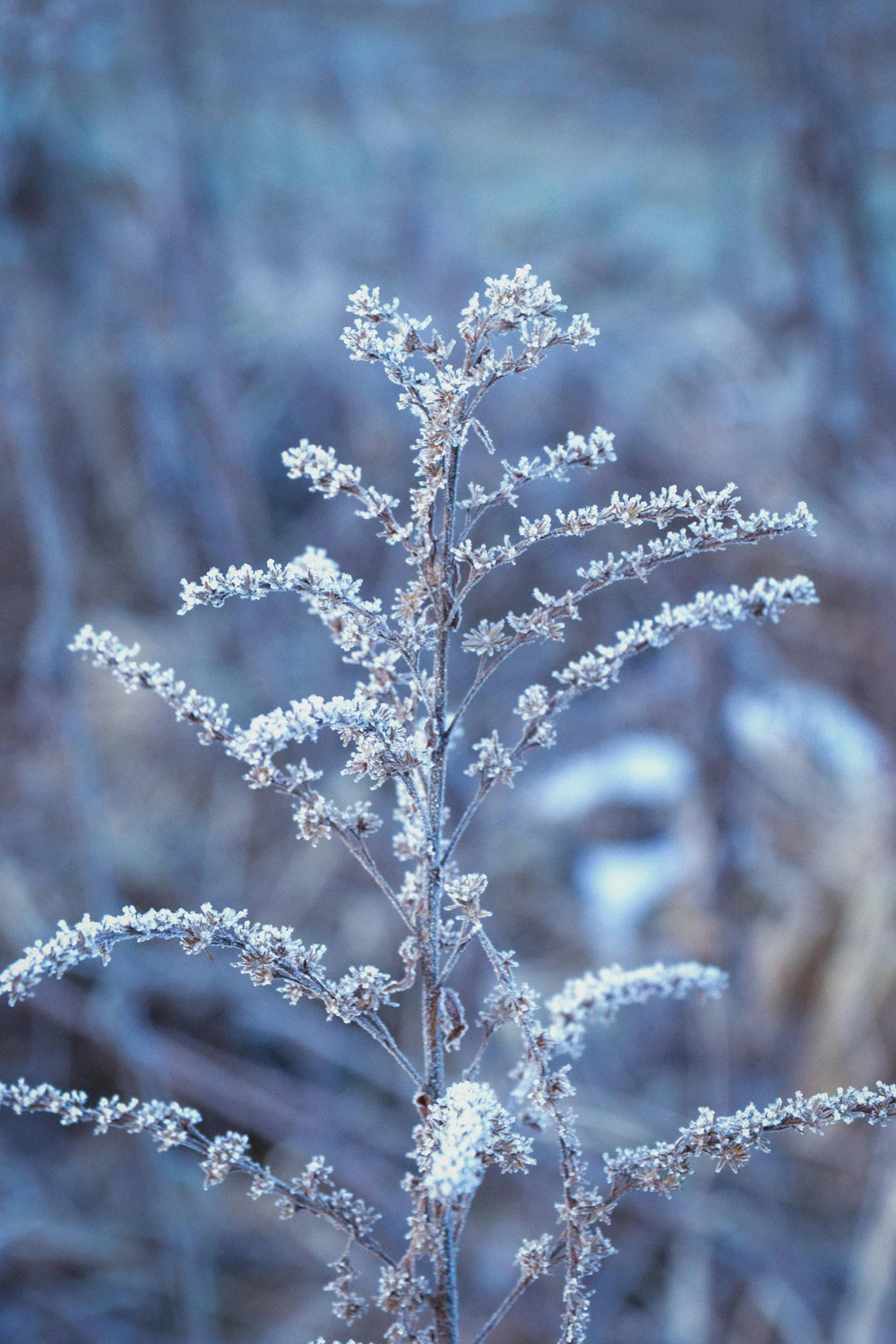 If Global Warming Is A Problem, Why Is It So Cold?