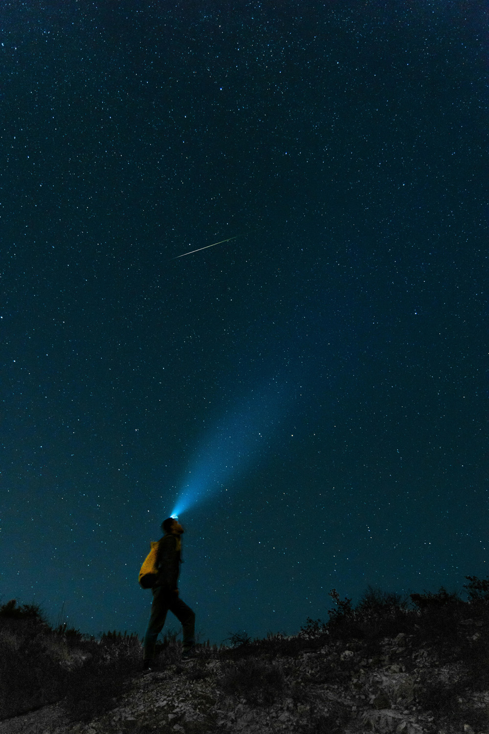 How To See Tonight's Meteor Shower