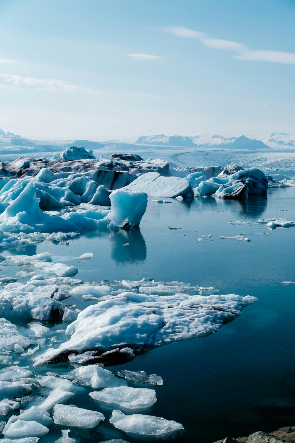 The World’s Largest Iceberg Is Heading For Britain