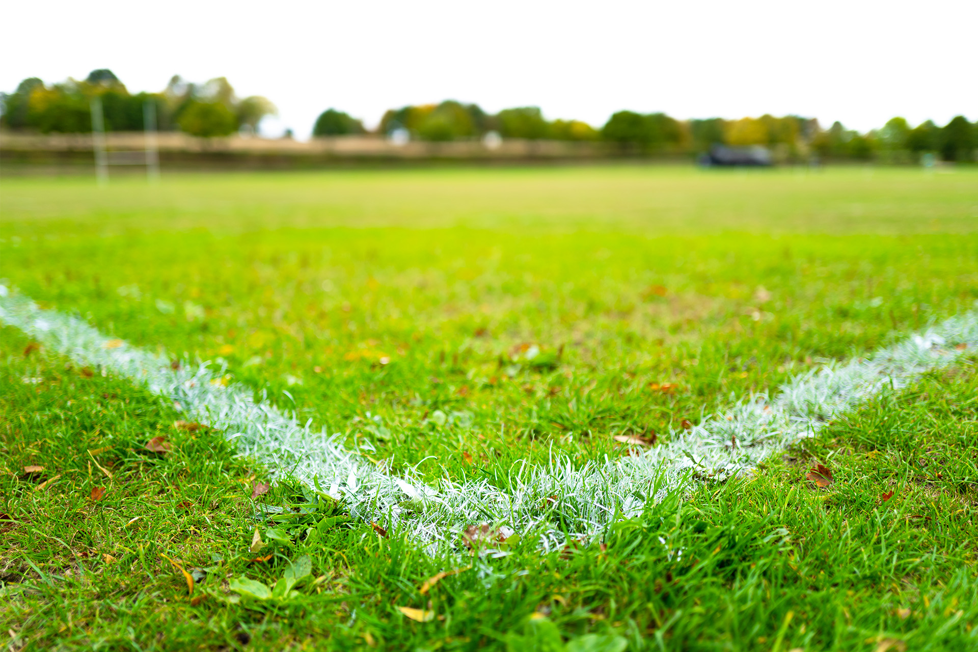 Former Tockington Rugby Star Captains For Oxford University