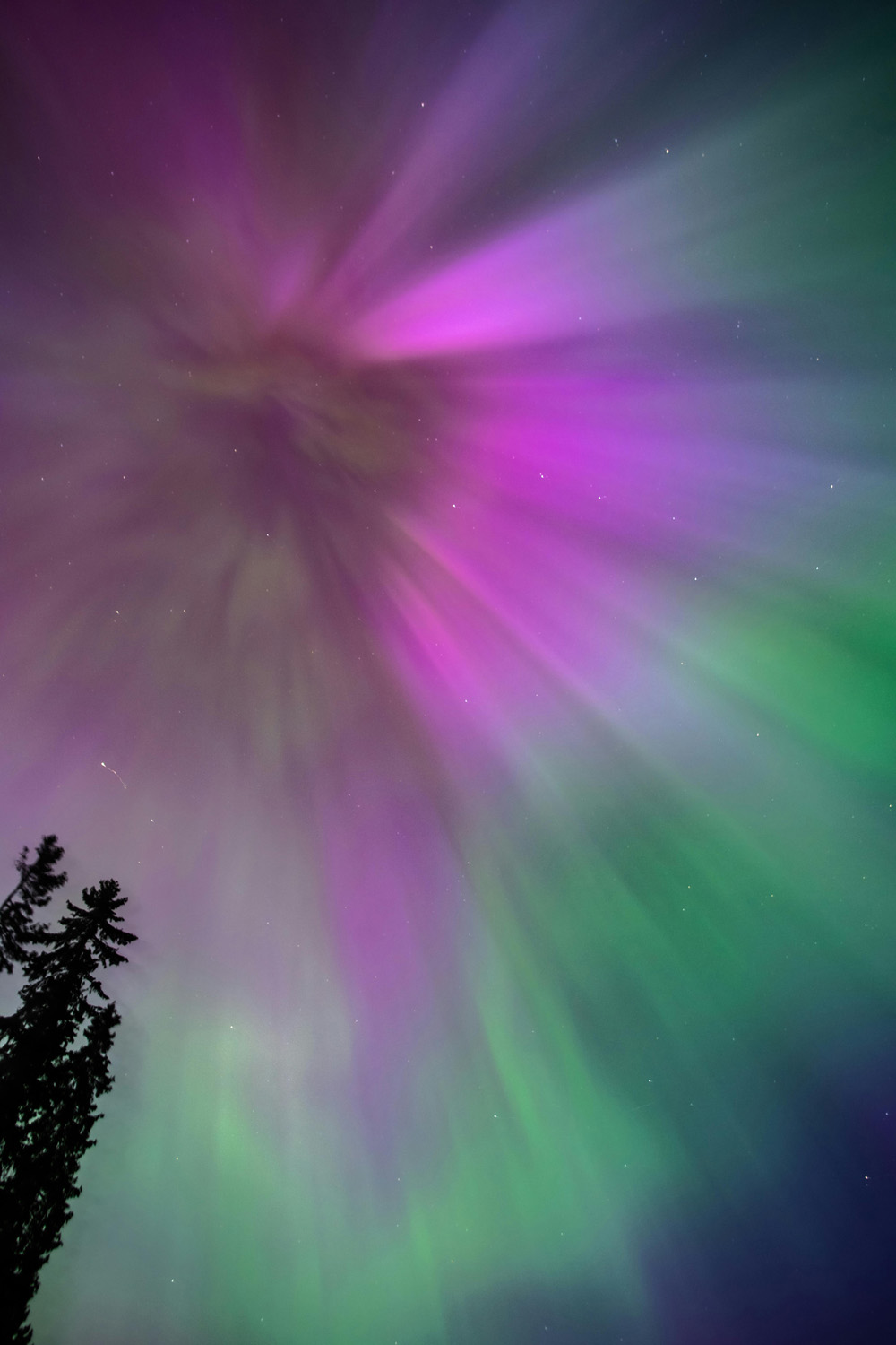 The Northern Lights Are Set To Shine On Valentine’s Day