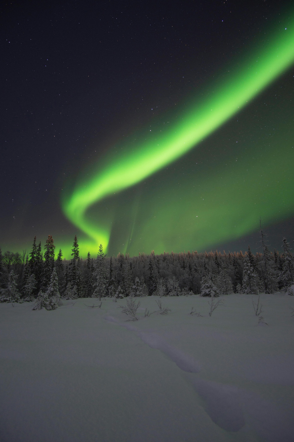 Northern Lights Set To Light Up The Sky In March